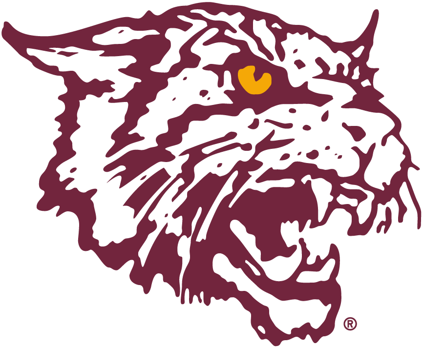 Bethune-Cookman Wildcats 2000-2015 Alternate Logo v2 iron on transfers for T-shirts